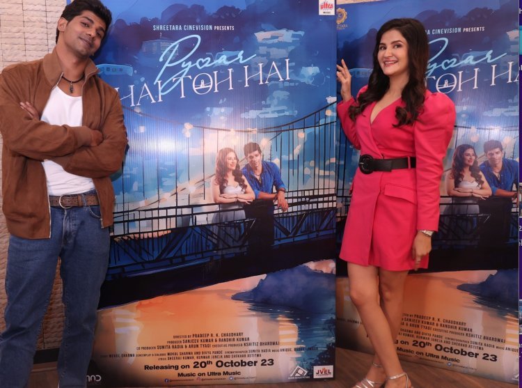 Pannie Kashyap and Karan Hariharan romance in 'Pyaar hai toh hai'