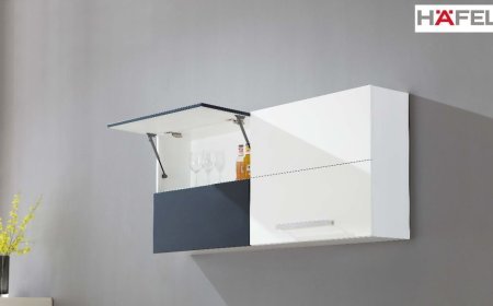 Soft Close Gas Springs by Hafele