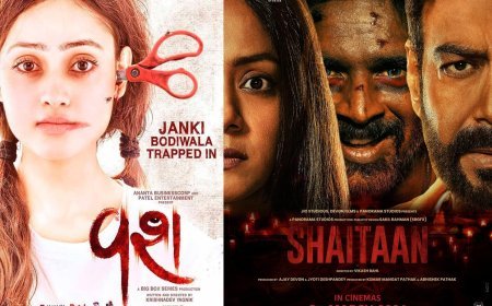 Regional Resurgence: 'Vash' Sparks Bollywood's Fascination with Gujarat's Tales