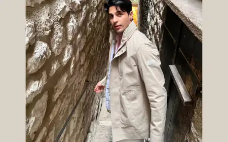 Social media and fan craze; How actors suffer the side effects of fame