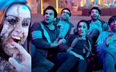 During the shooting of Stree 2, bulbs suddenly started breaking, camera got damaged, director made a big disclosure