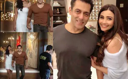Daisy Shah, co-star of Jai Ho, describes Salman Khan's film sets as a'resort' with pani puri and dosa counters