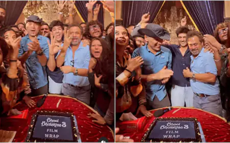 Kartik Aaryan concludes filming "Bhool Bhulaiyaa 3" and shows the team a fun video.