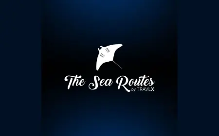 The Sea Routes by TravlX’s Latest Offers Includes Exclusive Savings