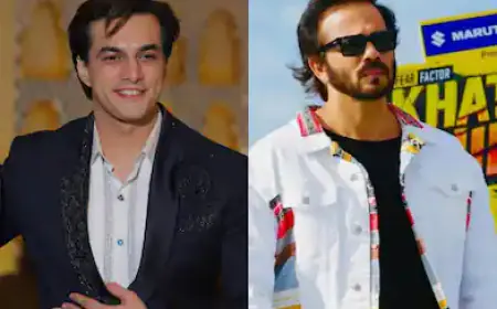 Mohsin Khan got the offer of Khatron Ke Khiladi 14, things got spoiled because of a dream