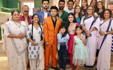 Pyar Ka Pehla Naam Radha Mohan to Conclude with a Dramatic Finale: Shabir Ahluwalia and Neeharika Roy's Chemistry to Leave a Lasting Impression
