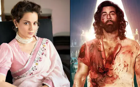 Kangana Ranaut again criticized Ranbir Kapoor starrer Animal, said- 'He is cool after doing drugs'