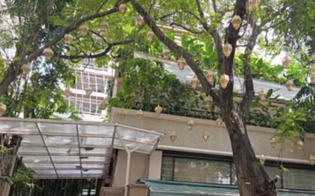 Anil Kapoor's house is decorated for Karwa Chauth; Know which Bollywood actresses will be there