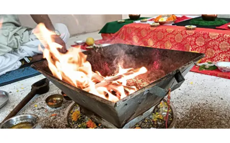 How New Holistic Companies Preserving Ancient Vedic Practices