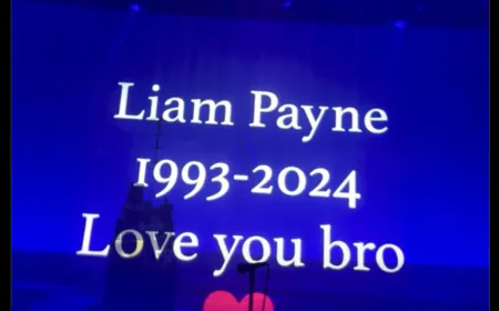 Zayn Malik paid tribute to Liam Payne during the concert, 'One Direction' fans got emotional
