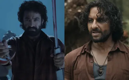 Saif Ali Khan will be seen in the remake of a South hit film