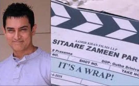 Shooting of Aamir Khan starrer 'Sitaare Zameen Par' completed, post-production work will begin