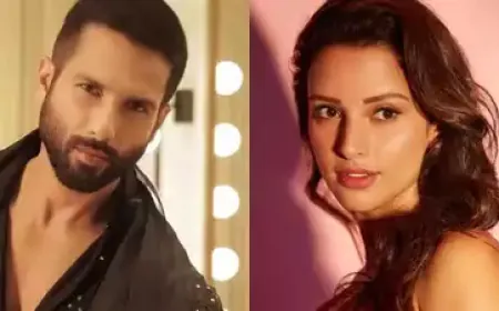 Shahid Kapoor-Tripti's action film will be released on this day, the producers have revealed the date