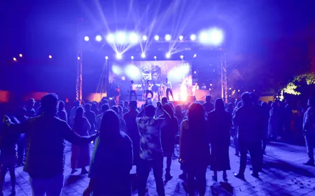 Diamond Parks, Lohegaon rings in 2025 with an unforgettable New Year Celebration