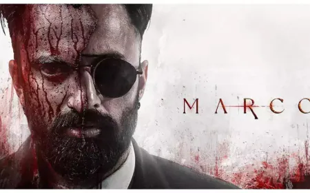 'Marco' hits 100 Cr at the box office, Malayalam films continue to do wonders at the box office