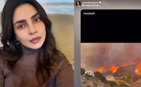 Priyanka Chopra Expresses Concern Over Palisades Fire in LA, Highlights Devastation and Evacuations