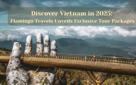 Discover Vietnam in 2025: Flamingo Travels Unveils Exclusive Tour Packages