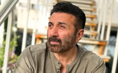 Sunny Deol will playing a role of family man and and bring the story of a middle-class family