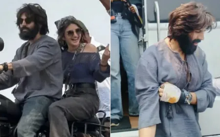 Kartik got injured while shooting with Sreeleela; pictures revealed