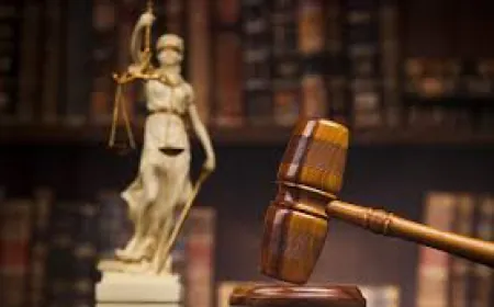 Disha's father's lawyer in trouble for making controversial remarks on judge, High Court starts contempt proceedings