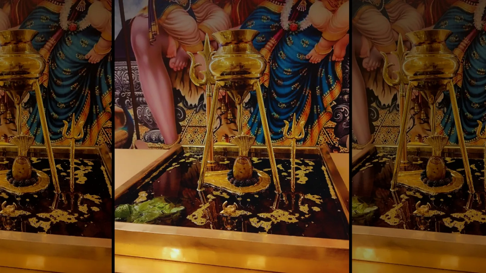 a Rudrabhishek with Mustard Oil at Bijalpur Dham