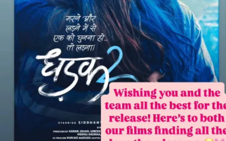 Before the release of 'Son of Sardar 2' and 'Dhadak 2', Mrunal did this, Tripti also reacted