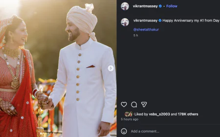 ‘My A1 from Day One’: Vikrant Massey’s Sweet Anniversary Wish for Sheetal Thakur
