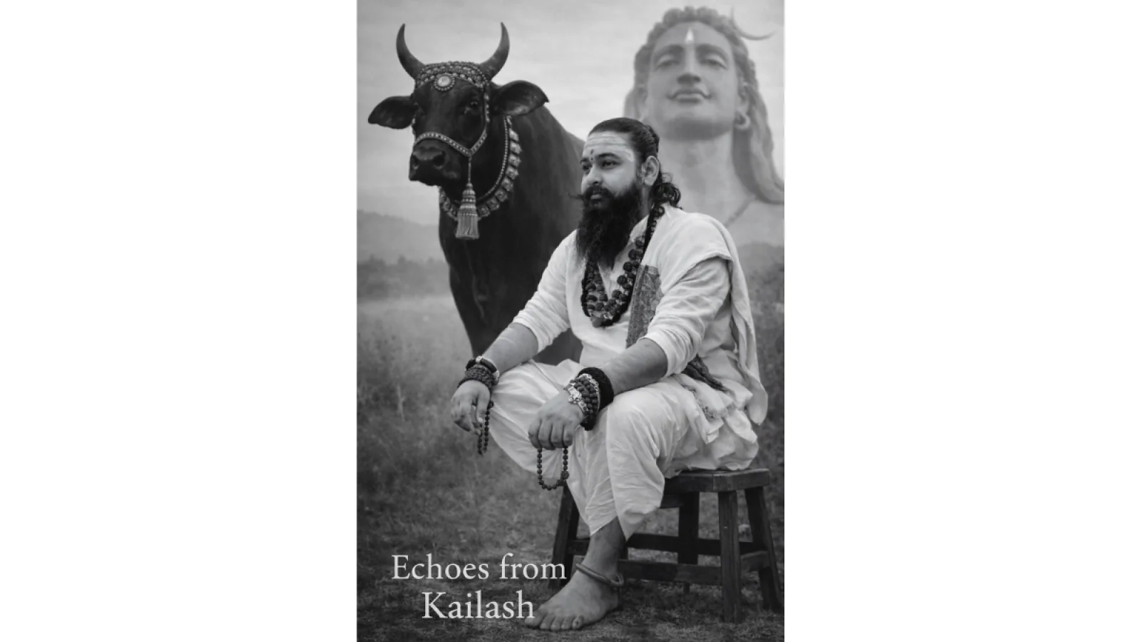 Prashant Maharaj Ji and Shivshakti Anugrah Peeth: The Divine Union of Service and Spiritual Practice