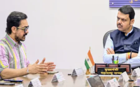 Paani Foundation Initiative: Aamir Khan Meets Fadnavis to Boost Water Conservation Efforts