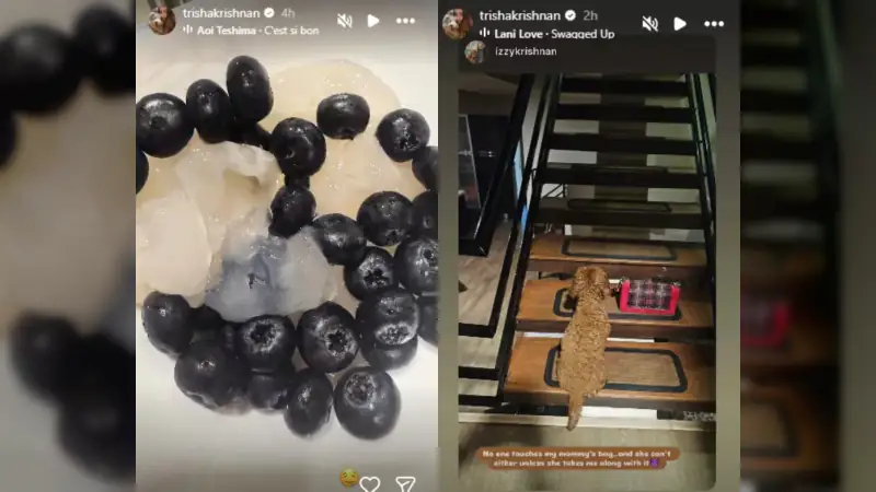 Police Clear Threat at Trisha Krishnan’s Residence After Search Operation