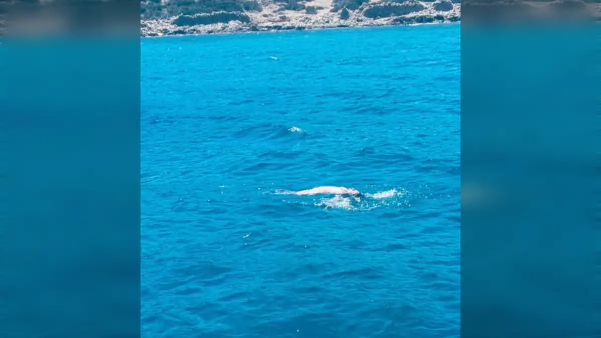 ece's Aegean Sea