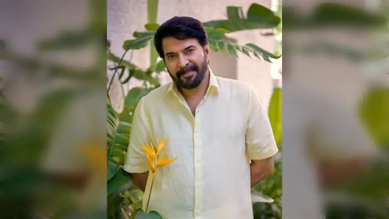72nd National Film Awards: Kartik, Mammootty Win Best Actor