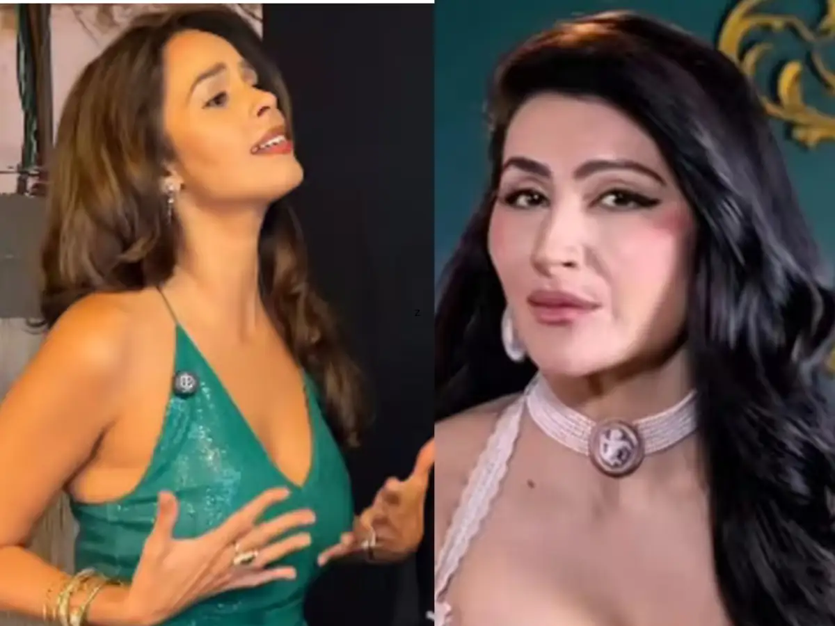  Mallika Sherawat Was ‘Lying’ About Her Dress