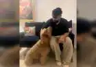 Badshah Introduces His 'First Ever Doggo Friend' Laddu